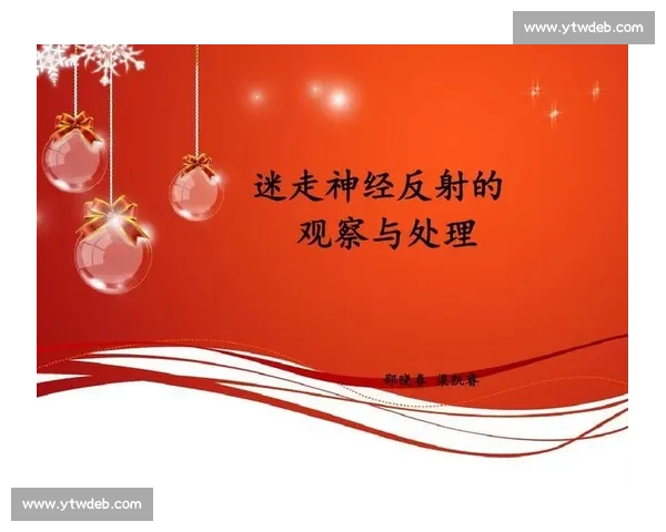 适合体育赛事新手的知识入门指南帮助你轻松了解各种比赛规则 - 副本 - 副本 - 副本 - 副本 (3)